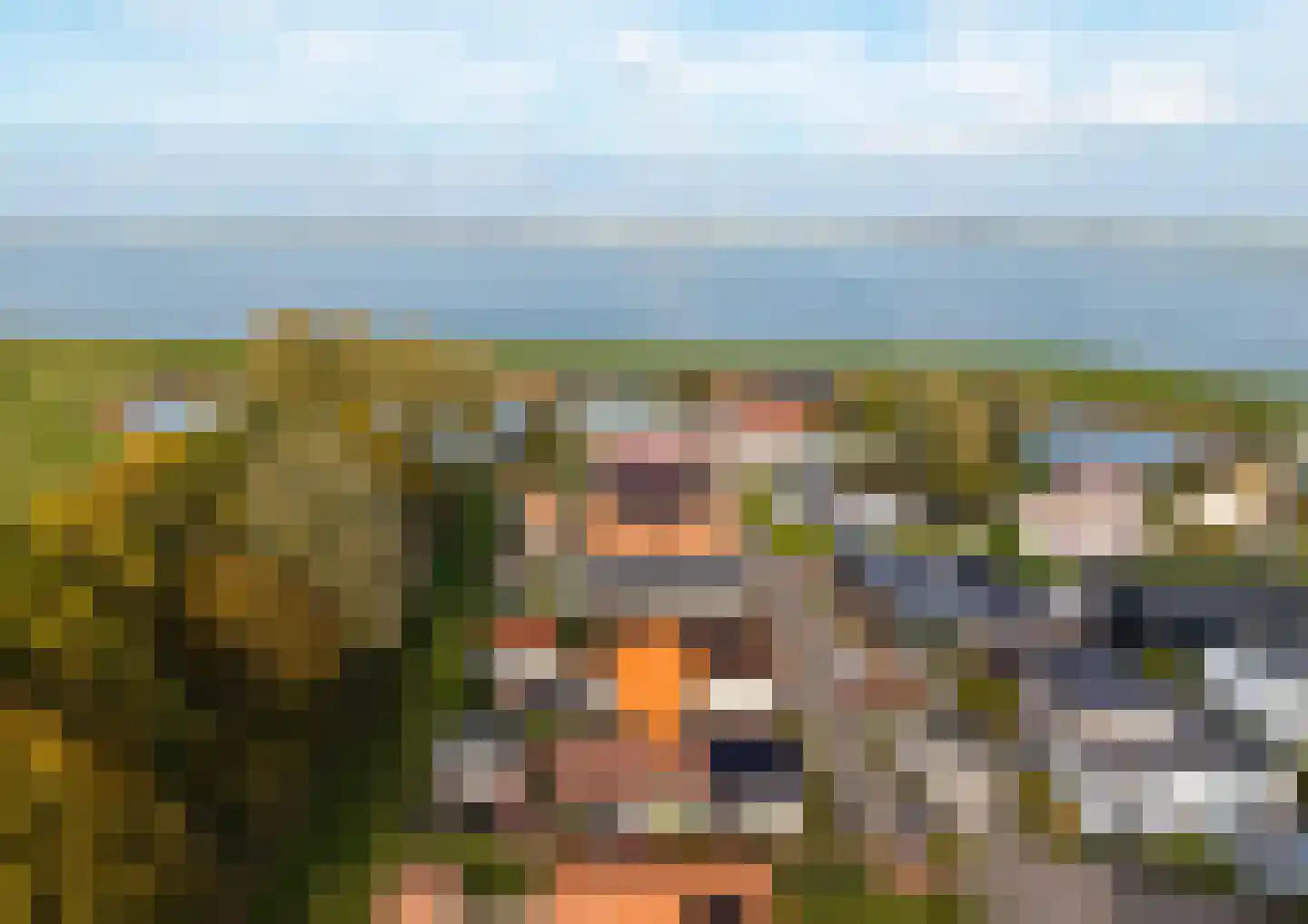 Nieuwlandseweg 264 Sint-Annaland thumbnail 48