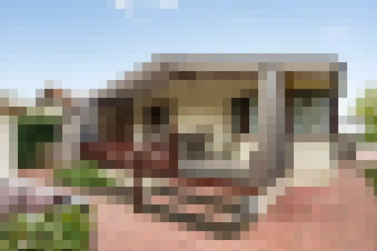Nieuwlandseweg 264 Sint-Annaland thumbnail 6
