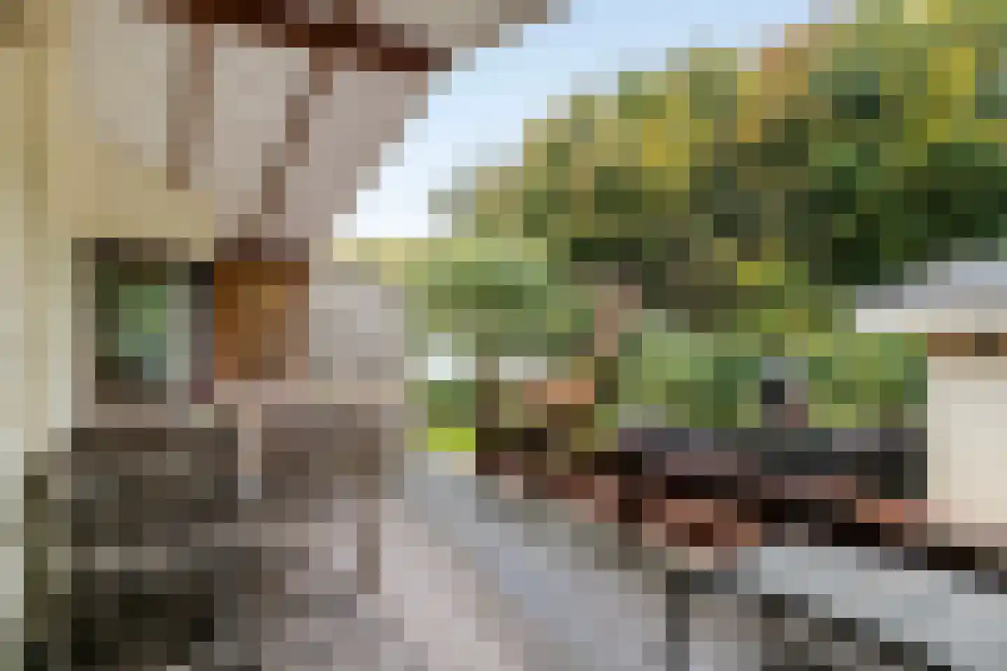 Nieuwlandseweg 264 Sint-Annaland thumbnail 7