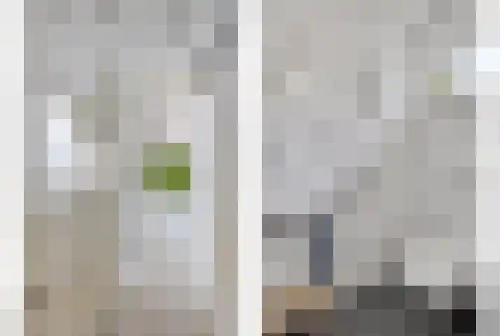 Nieuwlandseweg 28 Arnemuiden thumbnail 14