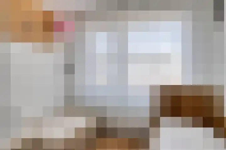 Nieuwlandseweg 28 Arnemuiden thumbnail 18