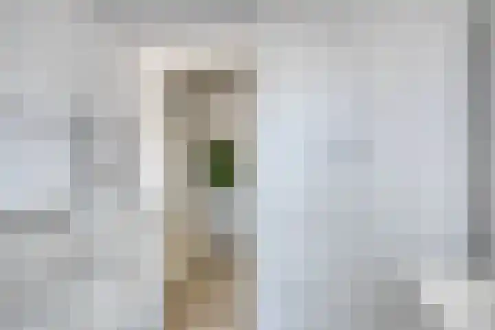 Nieuwlandseweg 28 Arnemuiden thumbnail 21