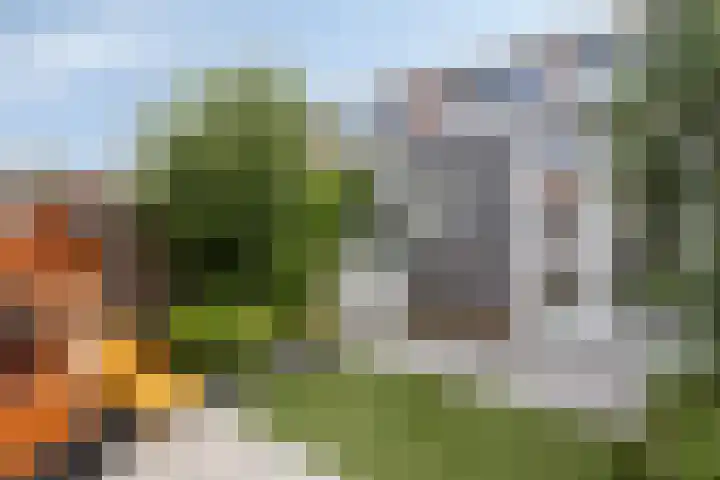 Nieuwlandseweg 28 Arnemuiden thumbnail 22