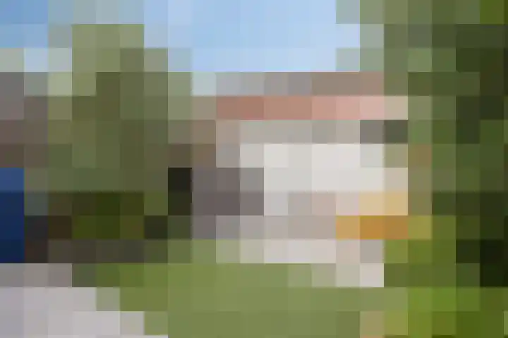 Nieuwlandseweg 28 Arnemuiden thumbnail 23