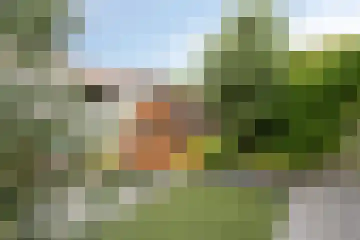 Nieuwlandseweg 28 Arnemuiden thumbnail 24