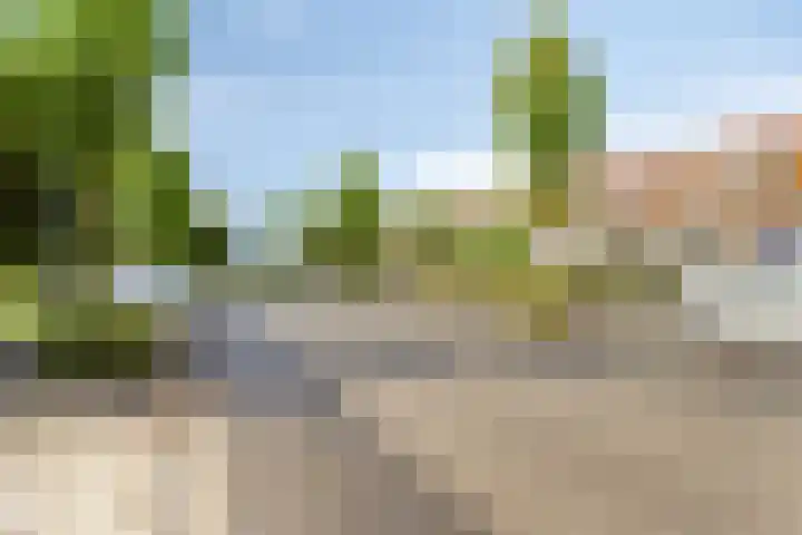 Nieuwlandseweg 28 Arnemuiden thumbnail 25