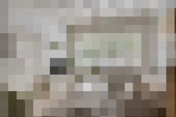 Nieuwlandseweg 28 Arnemuiden thumbnail 4