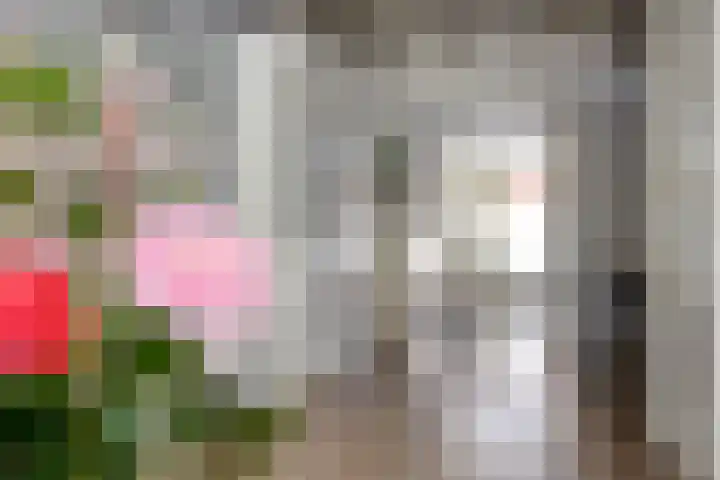 Nieuwlandseweg 28 Arnemuiden thumbnail 6