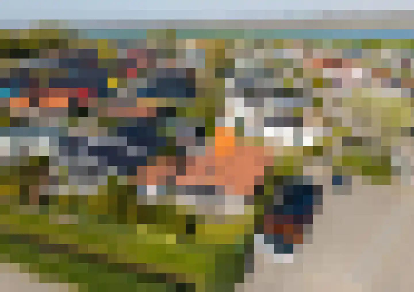 Nieuwlandseweg 296 Sint-Annaland thumbnail 47