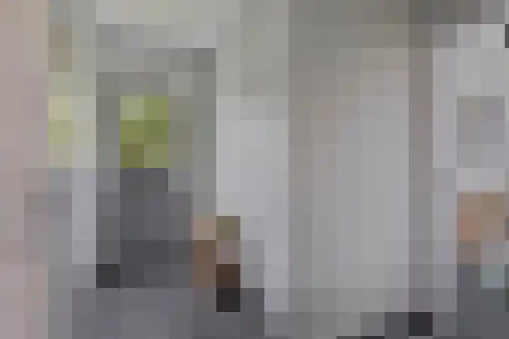 Nieuwlandseweg 3 Biervliet thumbnail 11