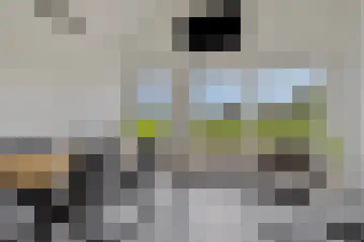 Nieuwlandseweg 3 Biervliet thumbnail 16