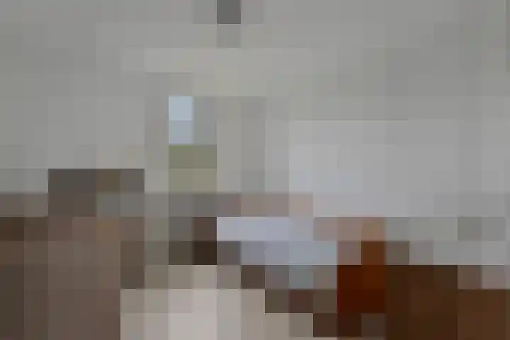Nieuwlandseweg 3 Biervliet thumbnail 21