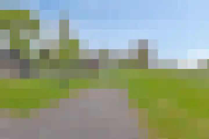 Nieuwlandseweg 3 Biervliet thumbnail 24