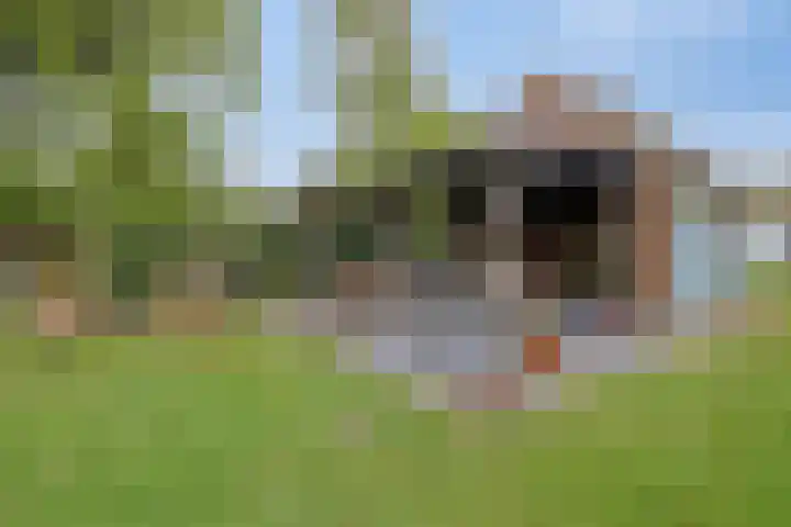 Nieuwlandseweg 3 Biervliet thumbnail 25