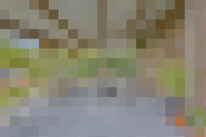 Nieuwlandseweg 3 Biervliet thumbnail 26