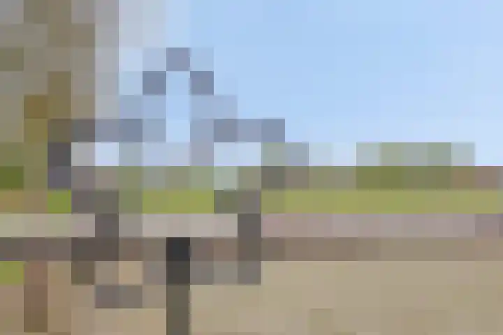Nieuwlandseweg 3 Biervliet thumbnail 27