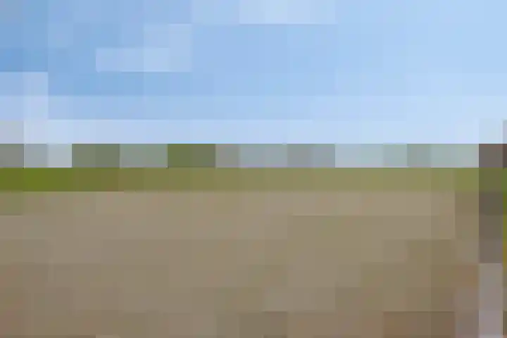 Nieuwlandseweg 3 Biervliet thumbnail 28