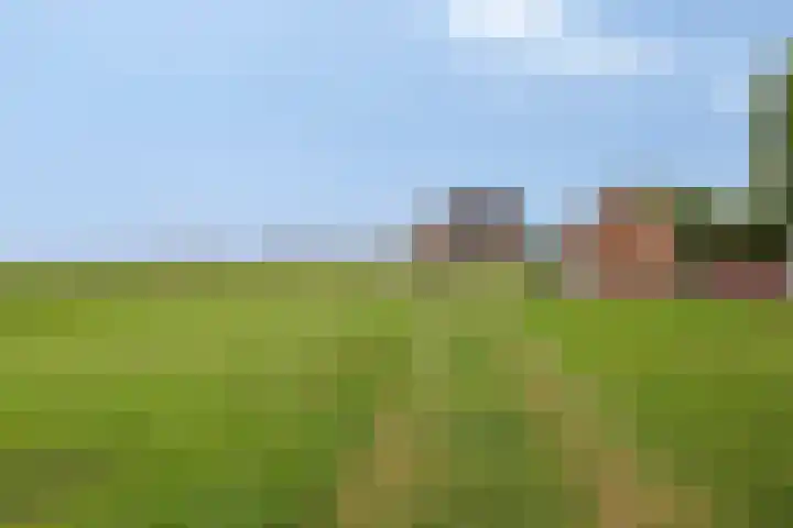 Nieuwlandseweg 3 Biervliet thumbnail 29