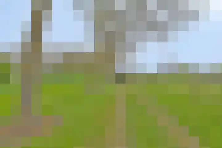 Nieuwlandseweg 3 Biervliet thumbnail 30