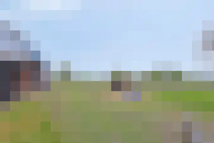 Nieuwlandseweg 3 Biervliet thumbnail 31