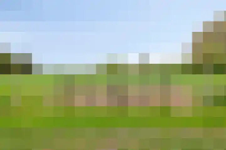 Nieuwlandseweg 3 Biervliet thumbnail 32