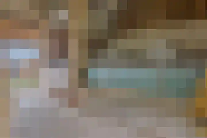 Nieuwlandseweg 3 Biervliet thumbnail 33