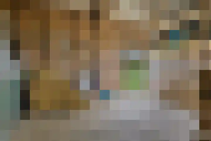 Nieuwlandseweg 3 Biervliet thumbnail 34