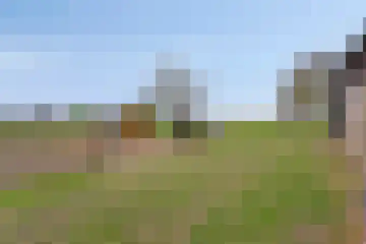 Nieuwlandseweg 3 Biervliet thumbnail 35