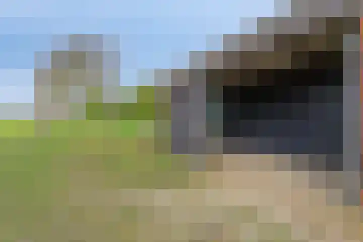 Nieuwlandseweg 3 Biervliet thumbnail 36