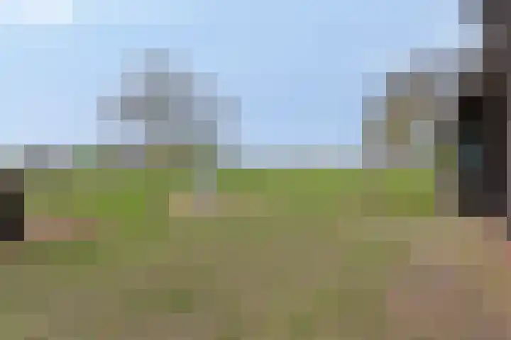 Nieuwlandseweg 3 Biervliet thumbnail 37