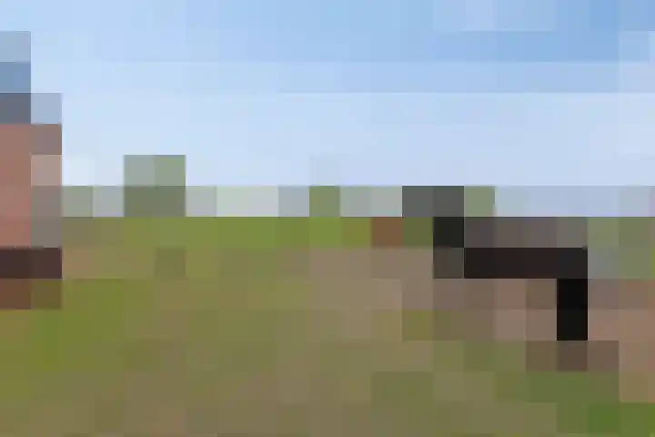Nieuwlandseweg 3 Biervliet thumbnail 38