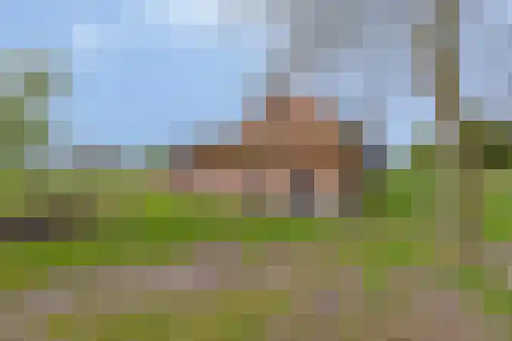 Nieuwlandseweg 3 Biervliet thumbnail 39