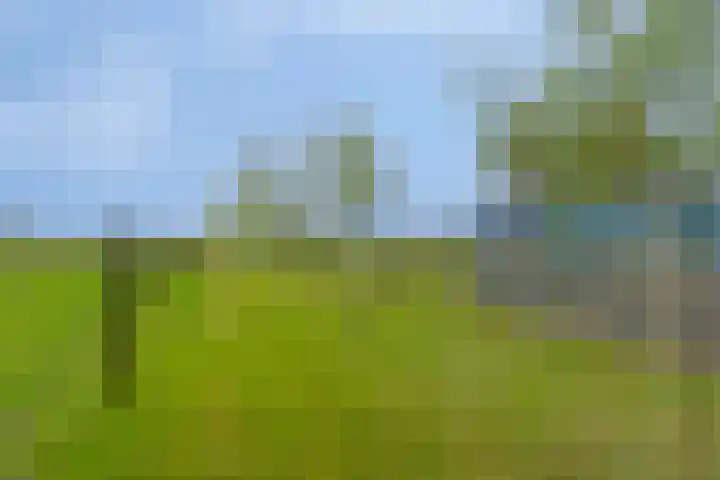 Nieuwlandseweg 3 Biervliet thumbnail 40