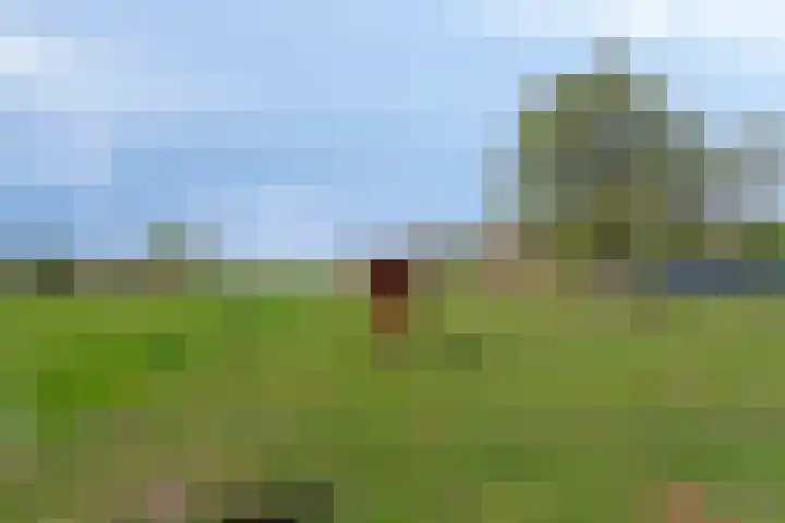 Nieuwlandseweg 3 Biervliet thumbnail 41