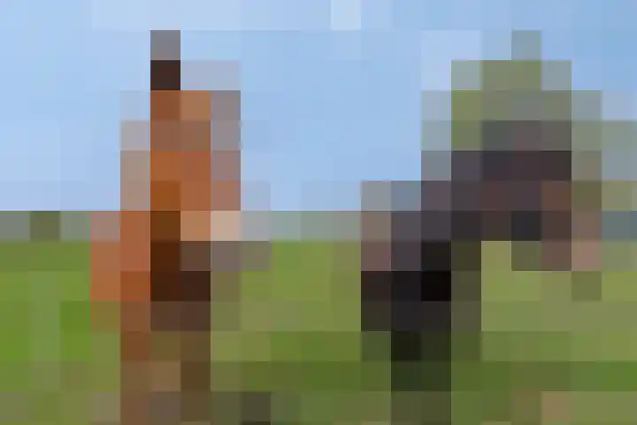Nieuwlandseweg 3 Biervliet thumbnail 42