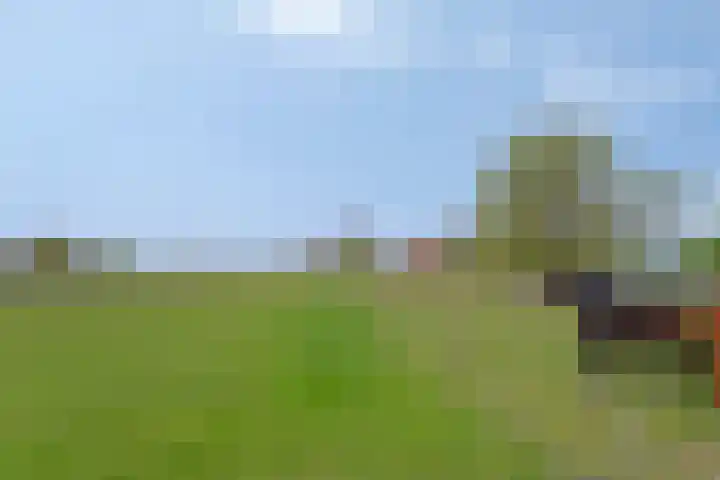 Nieuwlandseweg 3 Biervliet thumbnail 43