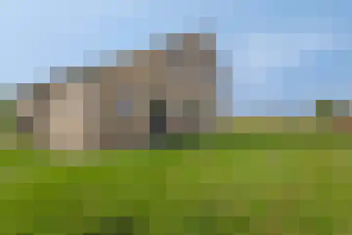 Nieuwlandseweg 3 Biervliet thumbnail 44