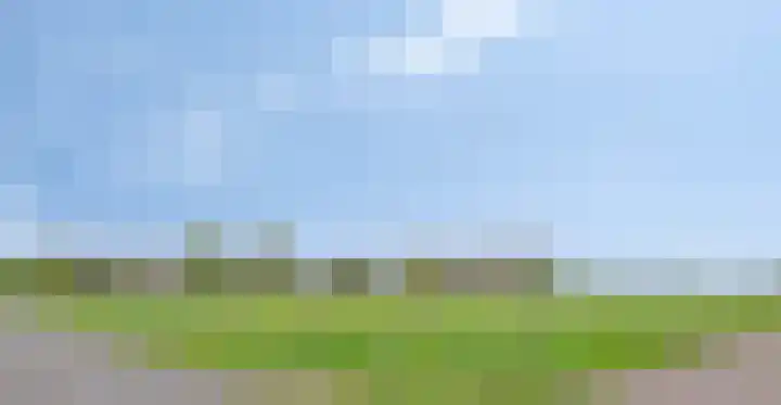 Nieuwlandseweg 3 Biervliet thumbnail 45
