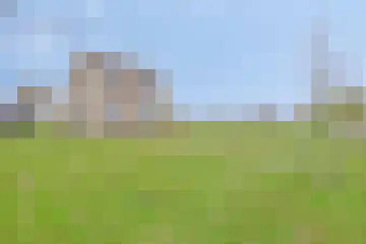 Nieuwlandseweg 3 Biervliet thumbnail 47