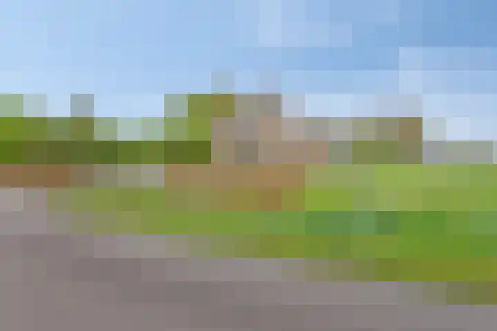 Nieuwlandseweg 3 Biervliet thumbnail 48