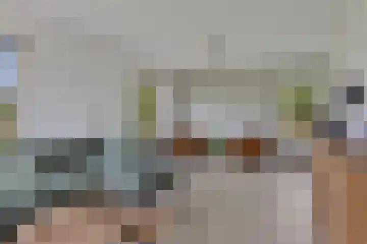 Nieuwlandseweg 3 Biervliet thumbnail 7