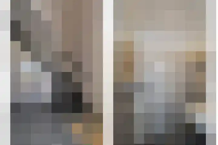 Nieuwlandseweg 3 Biervliet thumbnail 9