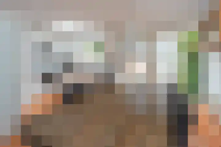 Nieuwlandseweg 57 Hilversum thumbnail 7