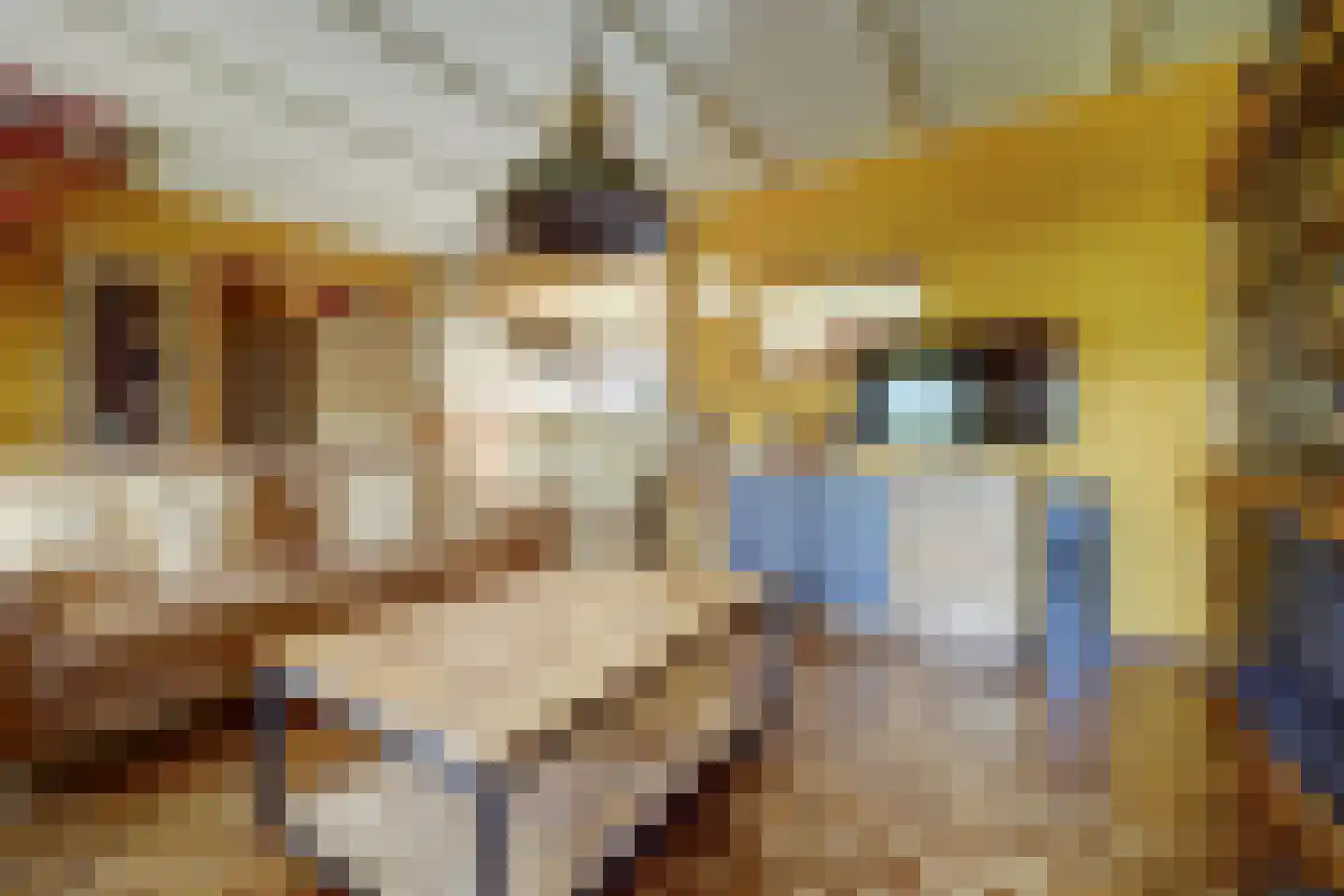 Nieuwlandseweg 7 Nieuw- en Sint Joosland thumbnail 13