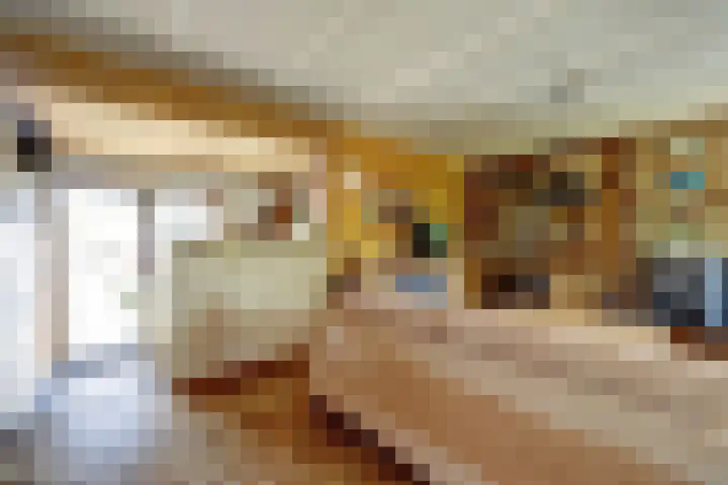 Nieuwlandseweg 7 Nieuw- en Sint Joosland thumbnail 15