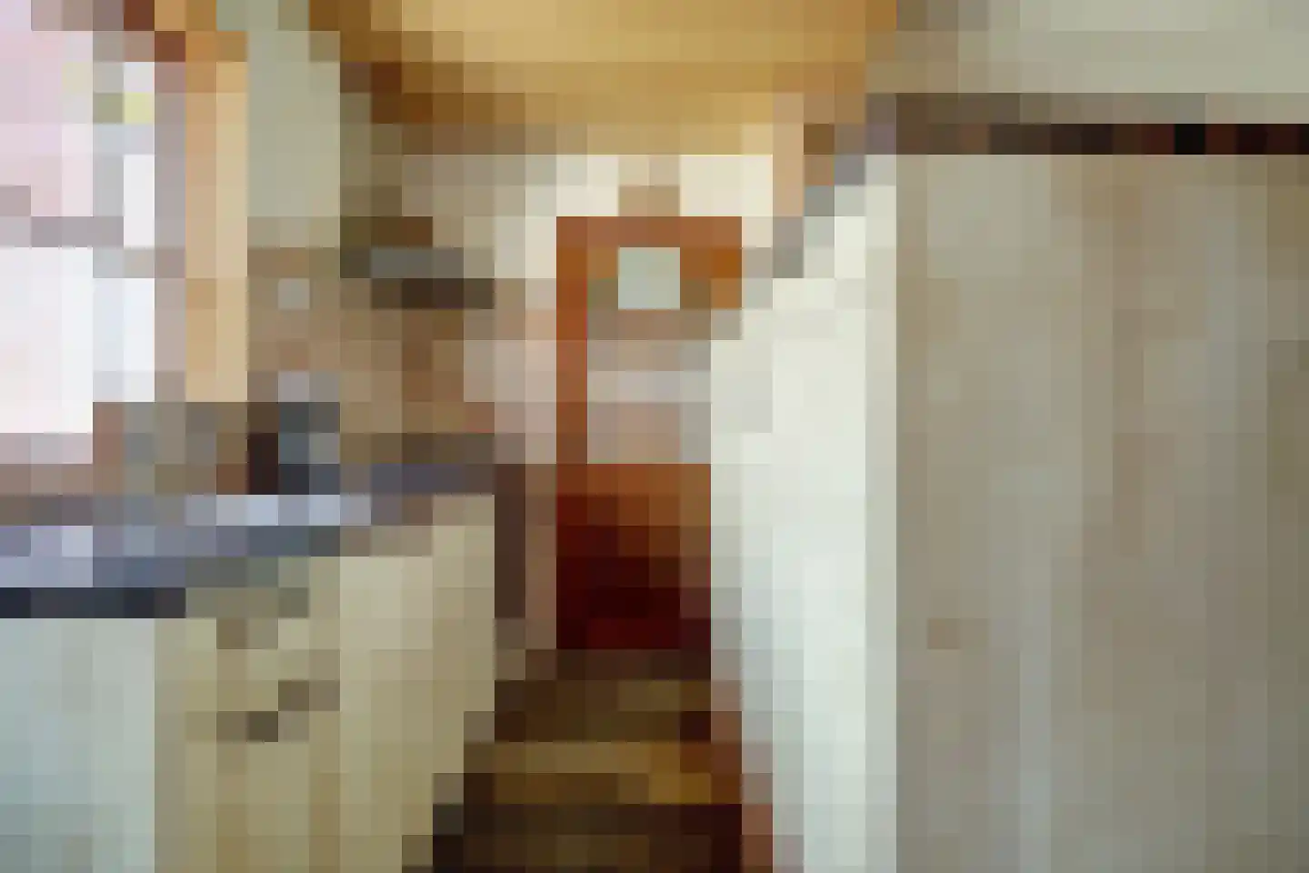 Nieuwlandseweg 7 Nieuw- en Sint Joosland thumbnail 18