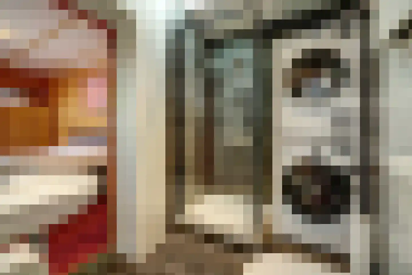 Nieuwlandseweg 7 Nieuw- en Sint Joosland thumbnail 20