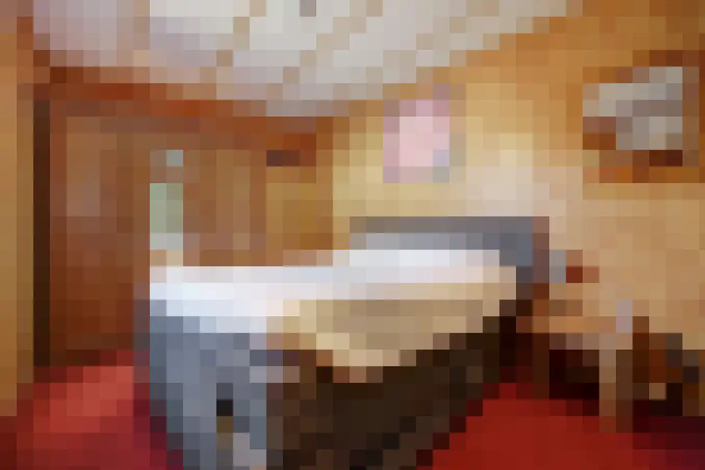 Nieuwlandseweg 7 Nieuw- en Sint Joosland thumbnail 23
