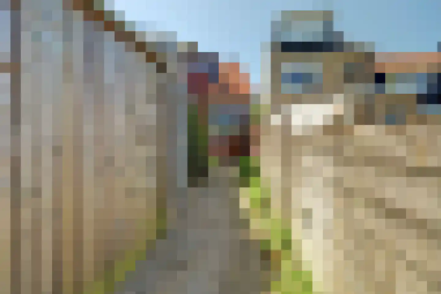 Nieuwlandseweg 7 Nieuw- en Sint Joosland thumbnail 31