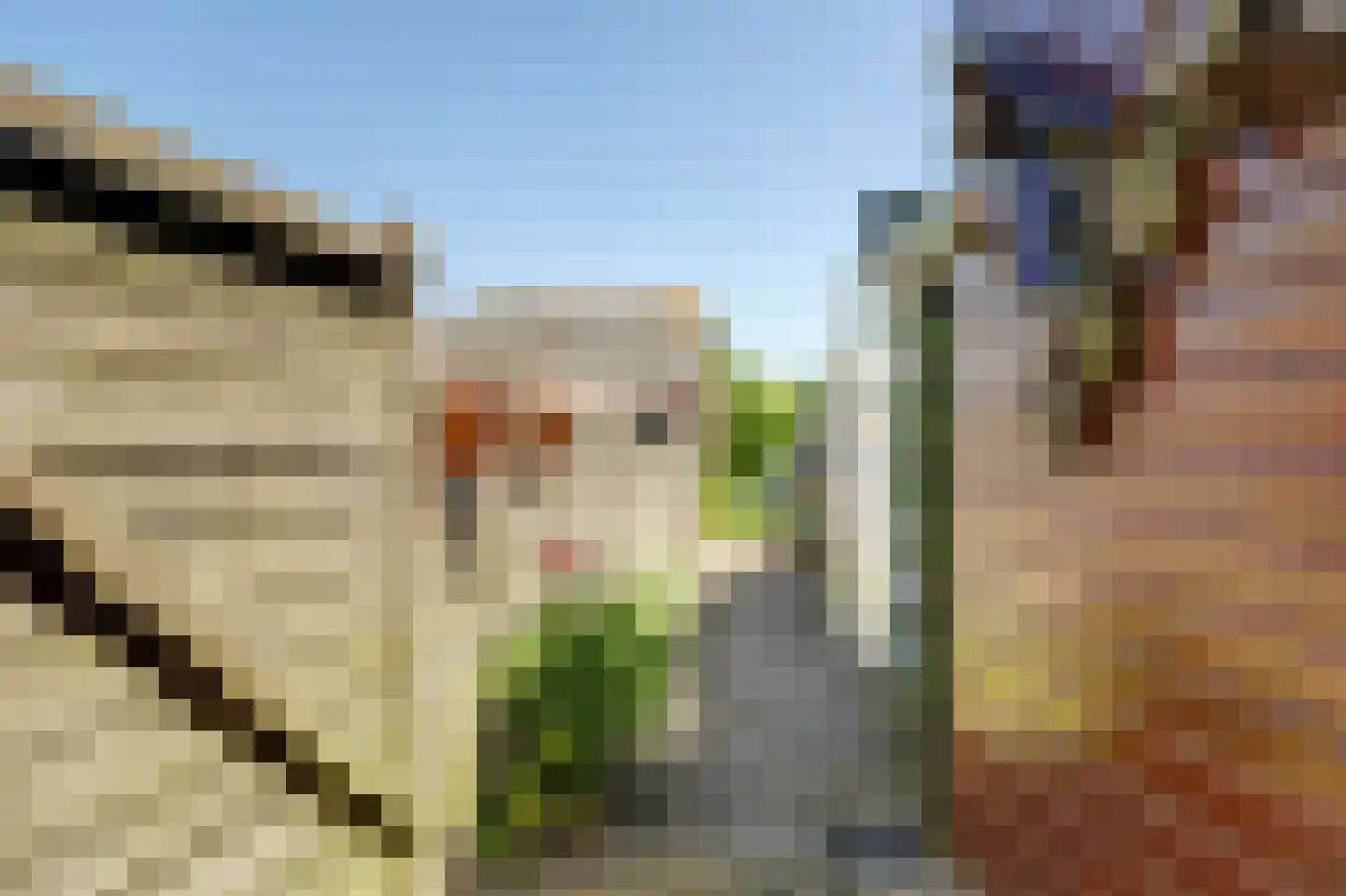 Nieuwlandseweg 7 Nieuw- en Sint Joosland thumbnail 32